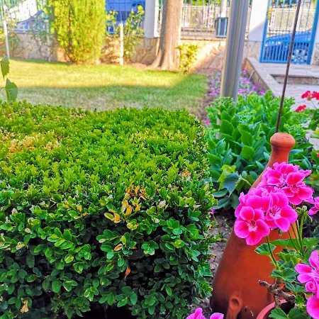 Guest house Къща За Гости Перфекто Chernomorets